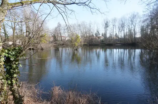 Monte Escalier 10 Fabricant monte escalier La Chapelle-Saint-Luc